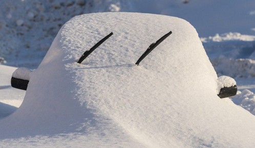 Сообщить о проблемах со снегом в Петропавловске-Камчатском теперь можно через бота