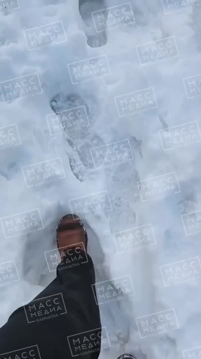 ������ ������� �� ������ ������, �� � ��������