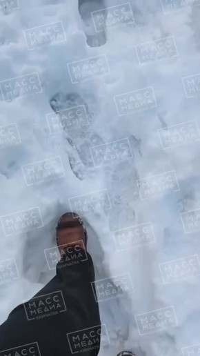 Плывут сегодня не только машины, но и пешеходы