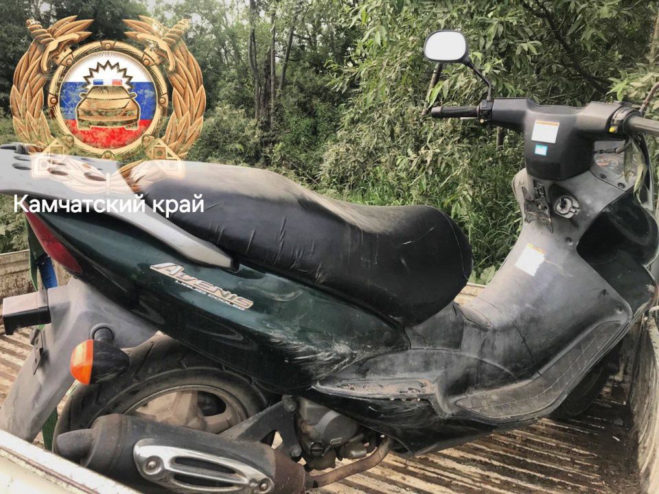 Госавтоинспекция Елизовского района разыскивает свидетелей ДТП