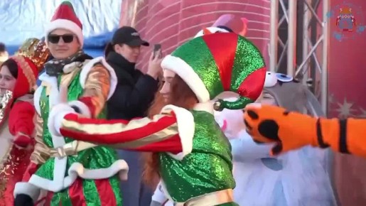 Новогодние огни зажглись на главной ёлке краевого центра