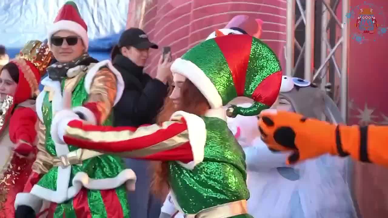 Новогодние огни зажглись на главной ёлке краевого центра