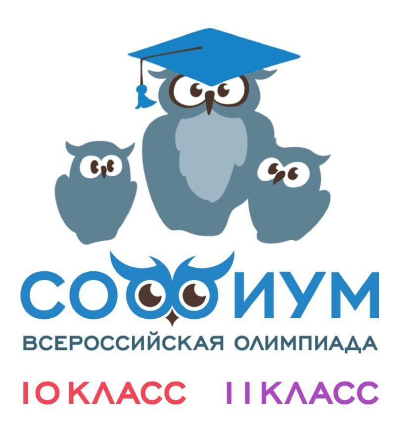 Завершился второй тур регионального этапа олимпиады школьников «Софиум», который проходил в форме электронного тестирования на базе сайта Российского центра обучения избирательным технологиям при ЦИК России