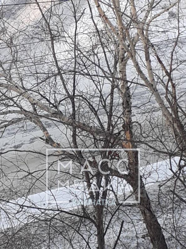 Последствия сильного ветра