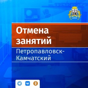 Отмена занятий в городских школах 17 декабря