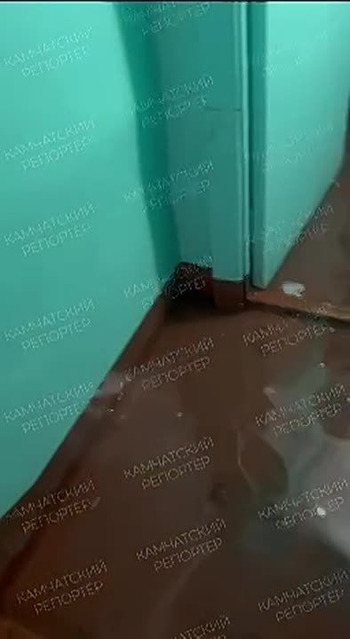 ����� ���� ������� ������� ��� ��������