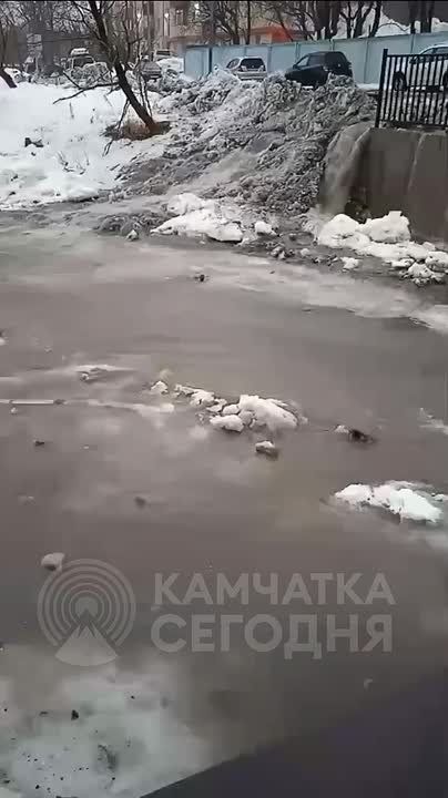 #��������. ������������! ��������, �����! �������������-����������, ��. ���������, 10/1