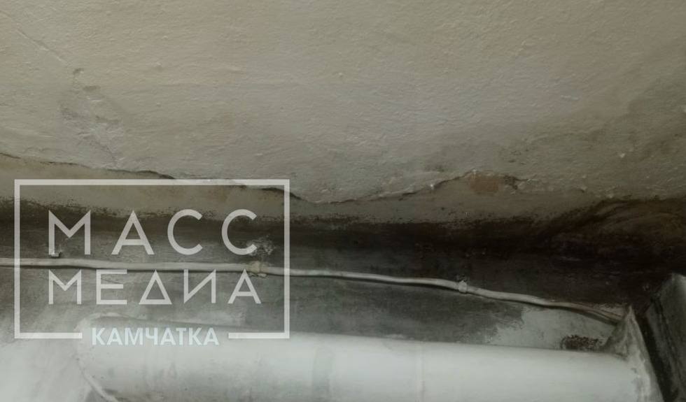 Без крыши и надежды: дом в Петропавловске-Камчатском десять лет ждёт ремонта Без крыши и надежды: дом в Петропавловске-Камчатском десять лет ждёт ремонта