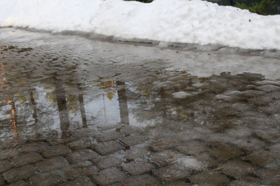 Зимние ухищрения: как защитить растения в условиях климатических капризов