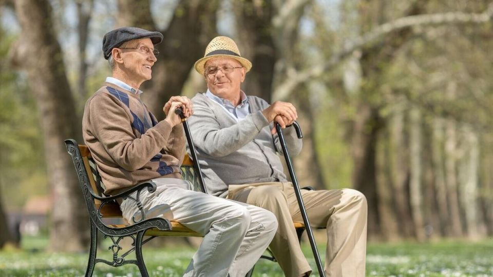 ������ ������ ��� �����������: ���� ������ �� ����������� ����� � 2025 ����