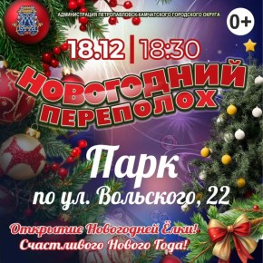 Открытие ёлки в парке по улице Вольского переносится