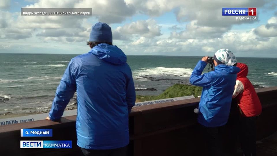 Экспедиция по сохранению Медновского песца успешно завершена
