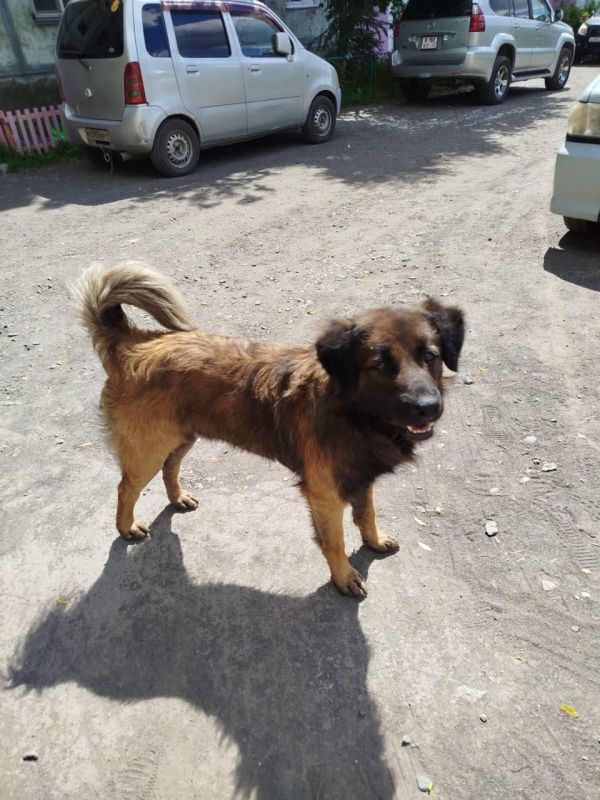 ��������� ��������� ������ �� �������: ������ ��������������� ��������� ��������� �����������