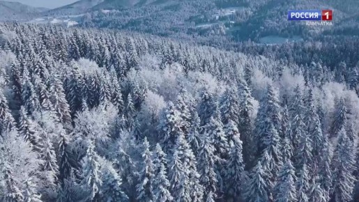 Какая камчатцев ждет погода завтра, в пятницу, 19 декабря?