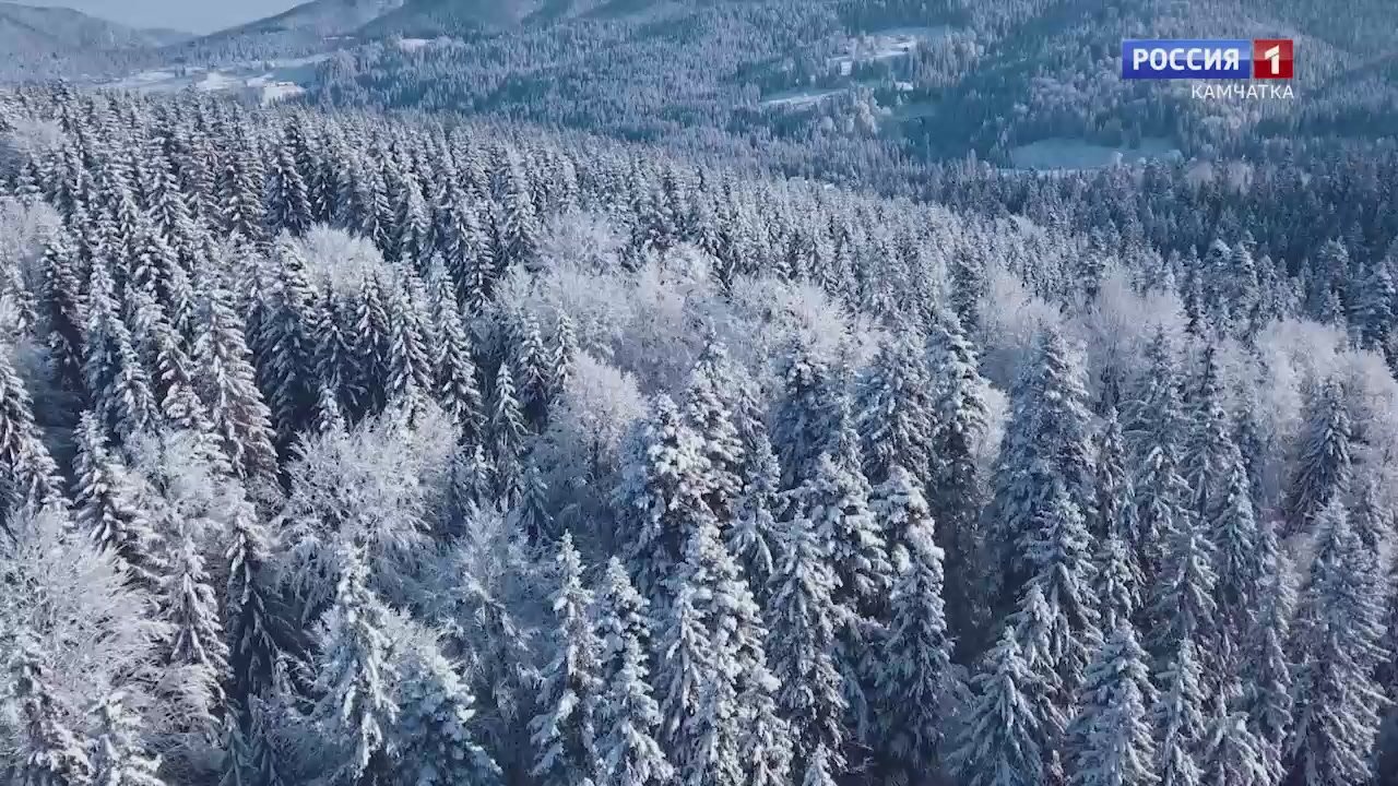 Какая камчатцев ждет погода завтра, в пятницу, 19 декабря?