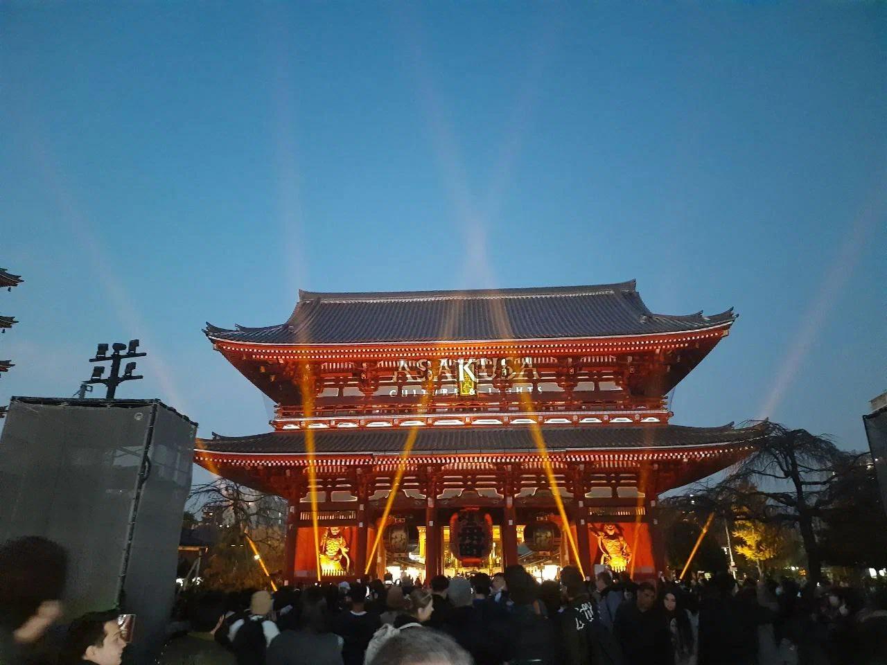 Трое камчатских студентов выиграли стажировку в Японии Трое камчатских студентов выиграли стажировку в Японии