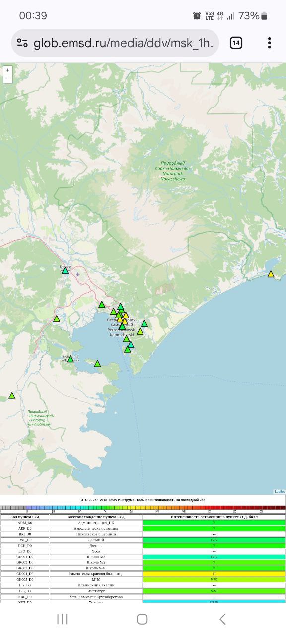Инструментальная интенсивность