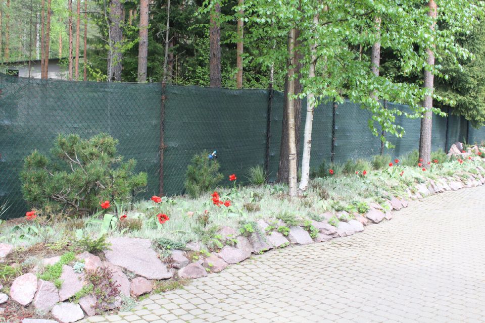 Как создать сад без лишних хлопот: советы и секреты