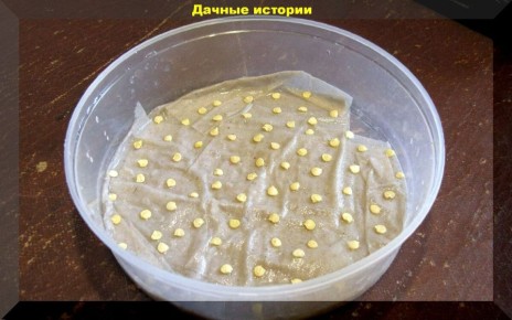 ����������� ������� ��� ��������� ��������� �����