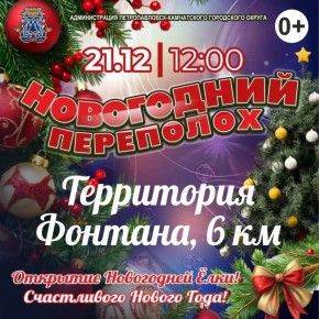 Расписание открытия ёлок на 21 декабря