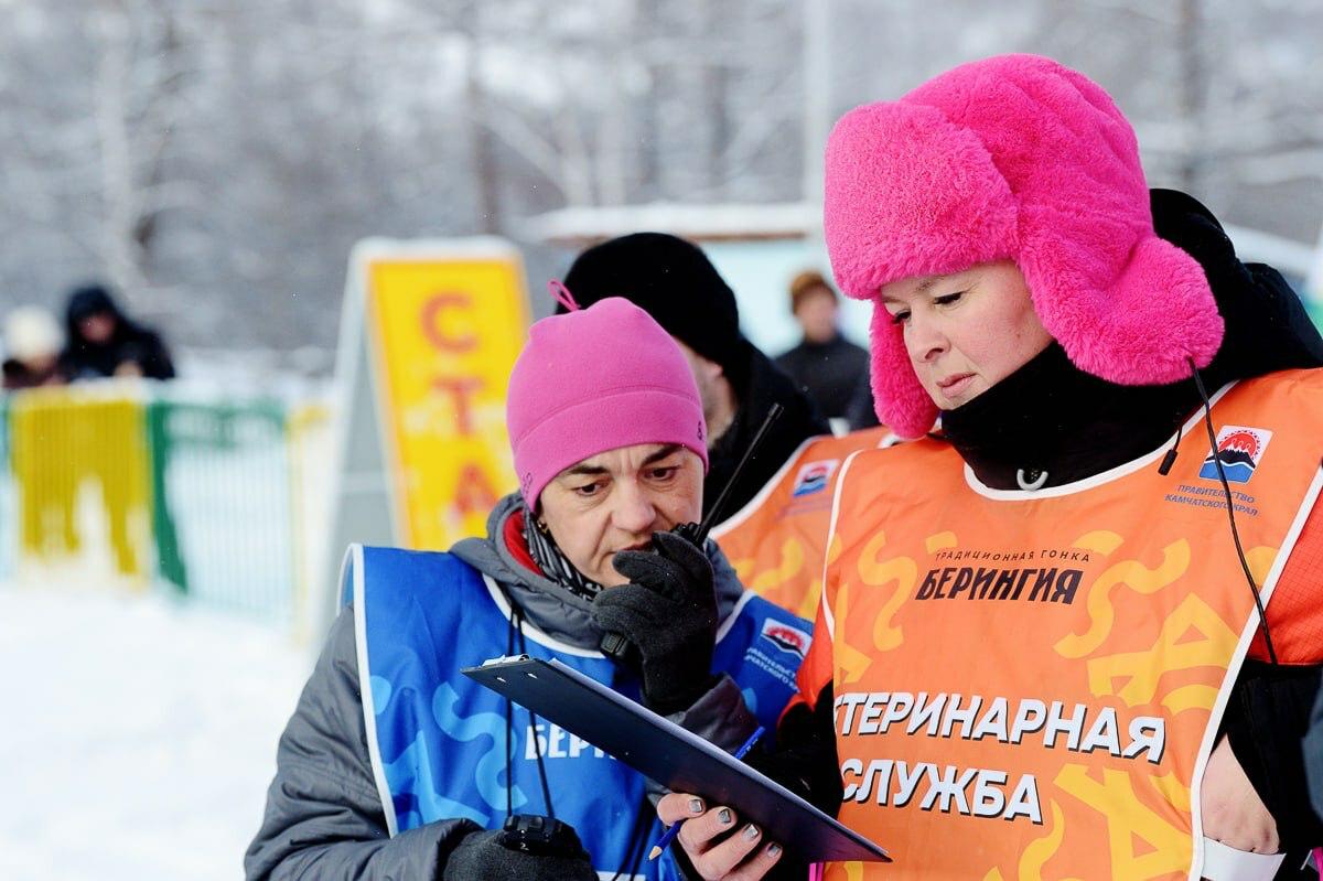 Определены руководители, судья и главный ветеринар гонки «Берингия»