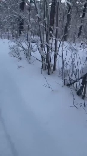 �� �������� ���� ������ � ��������� � �������