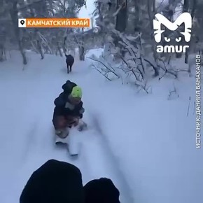 ���� ������ � ������� � ��������� �� ��������