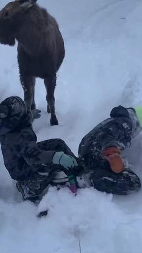 �� ������ �������� ���� ������ � ��������� � �����