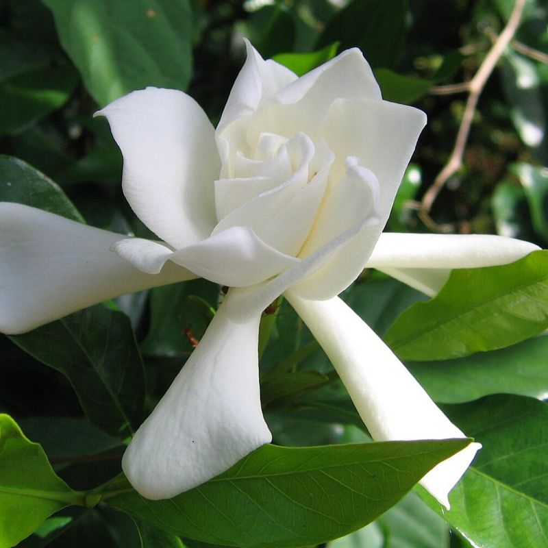 ��������� �������� ������: �������� ��� ���, ��� �� ����� � ���� �������