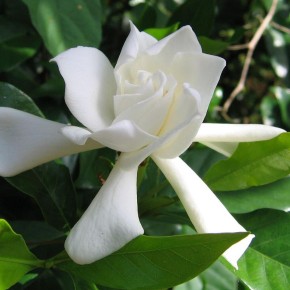 ��������� �������� ������: �������� ��� ���, ��� �� ����� � ���� �������