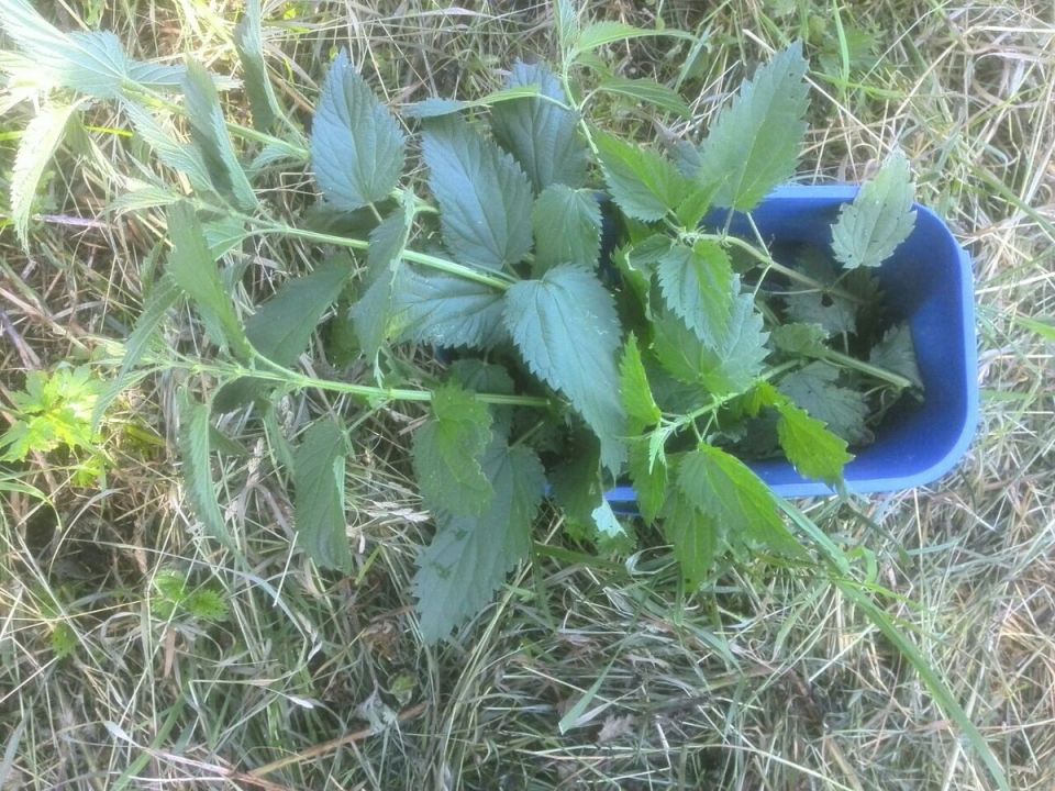 ��� ���������� ���������� �� ������� � ������ �� ����� �������