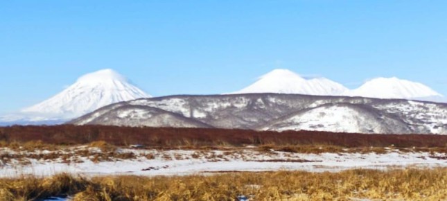 �������� ��������� �� 71 ����� � �������� �������� �������� ������