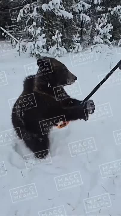 ��������� ������ �� ������ �����