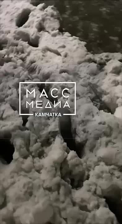 Дорога в Завойко ушла под воду