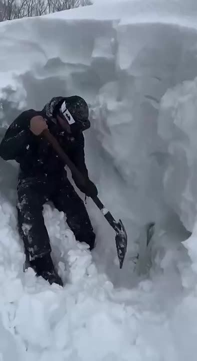 Я щас приеду! В марте!