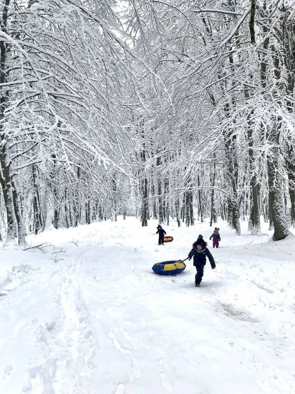 Школьные каникулы в Петропавловске-Камчатском начались досрочно