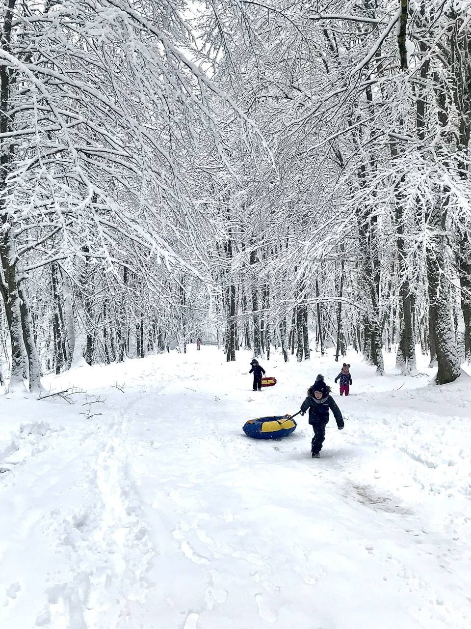 Школьные каникулы в Петропавловске-Камчатском начались досрочно
