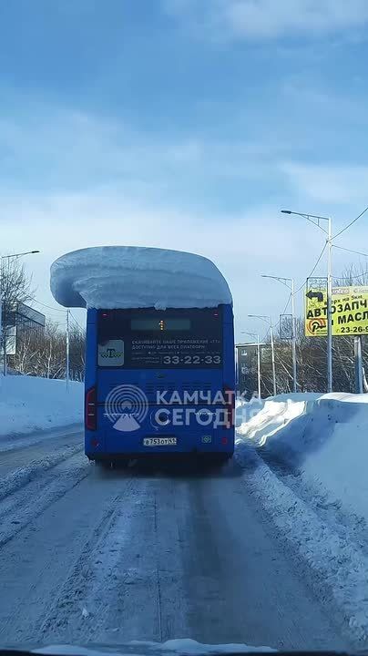На дорогах Петропавловска-Камчатского замечен Новогодний гном автобус в снежной шапочке