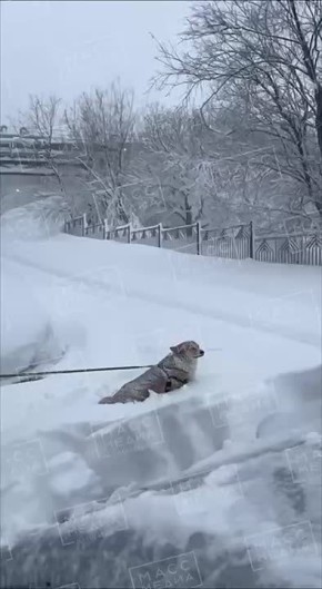 ���������� �������� � ������� �������� ������� � ������� ����� ��������� �����