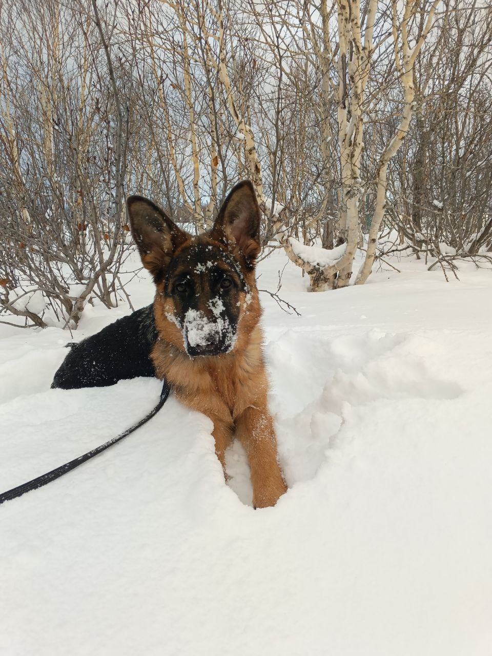 Камчатская транспортная полиция приветствует нового сотрудника Камчатская транспортная полиция приветствует нового сотрудника