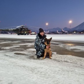 ���������� ������������ ������� ������������ ������ ����������