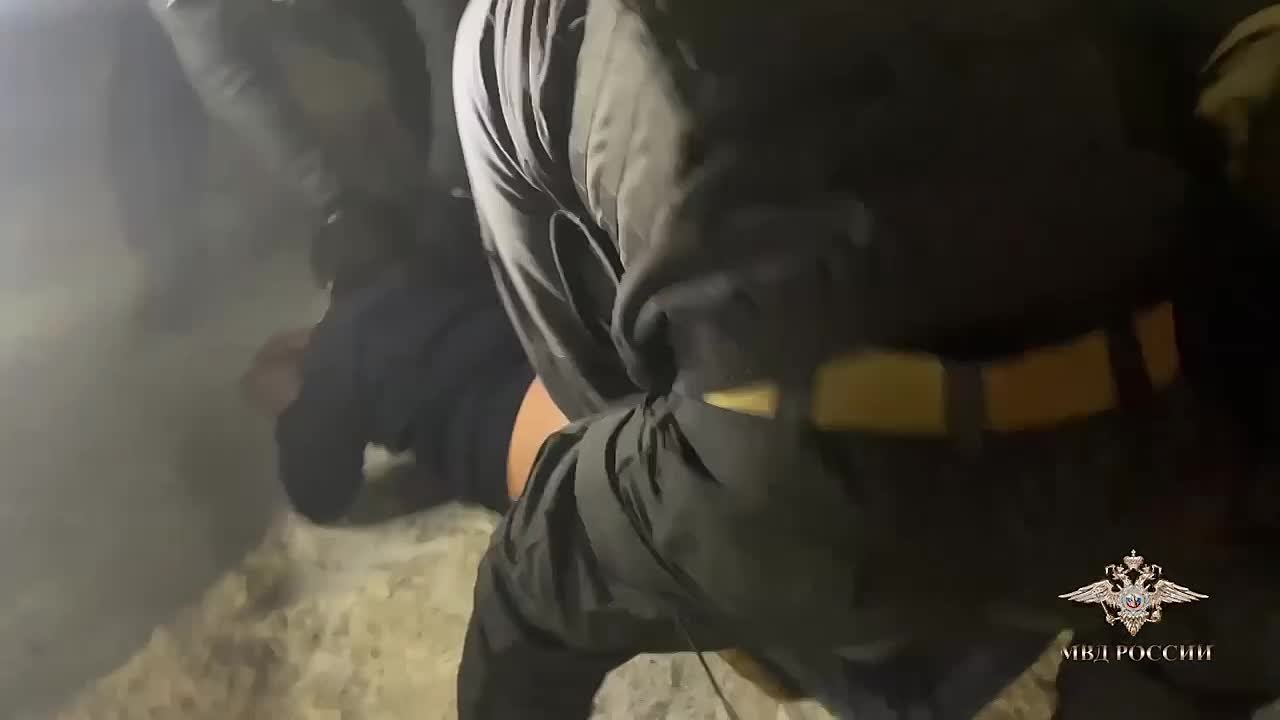 В Мурманской области полицейскими задержаны члены банды, которые занимались незаконной торговлей камчатским крабом