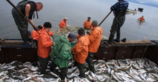 1 �� �������� ����������� 275 ���� ���� �� ��������� ����