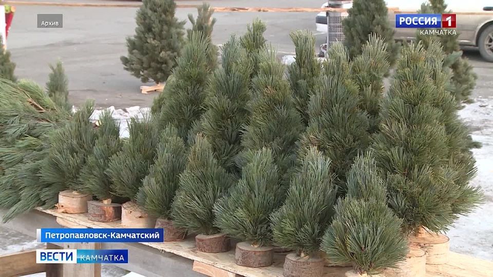 ������ ���� ������� � �������������� ������