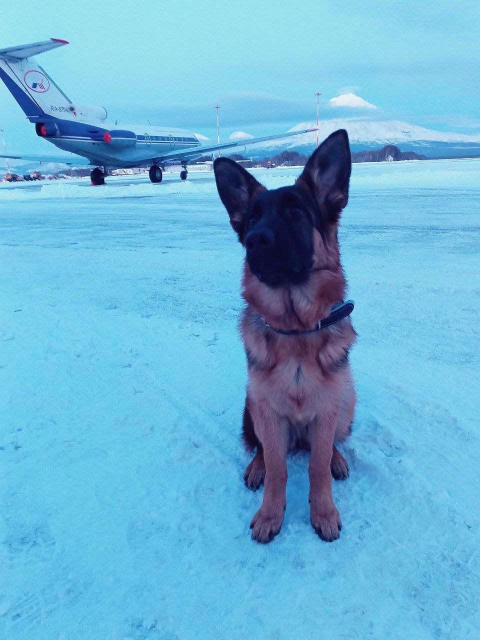 Камчатская транспортная полиция приветствует нового сотрудника Камчатская транспортная полиция приветствует нового сотрудника