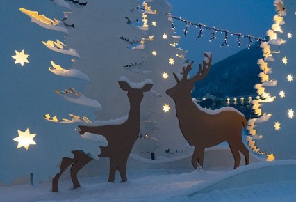 ���������� ����������� � ��������������-���������� �� 31 �������