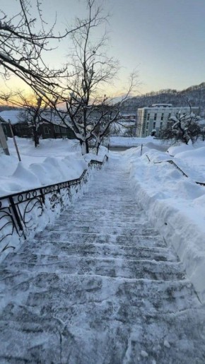 ���������� �������� � ���������� ���� �� ������������ ����������� ���������� � ������� � ������������ ��������, � ����� � �������������� ������� ����� ������� ��������������� ������