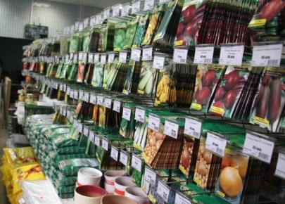 Как правильно выбрать семена: советы для успешного урожая