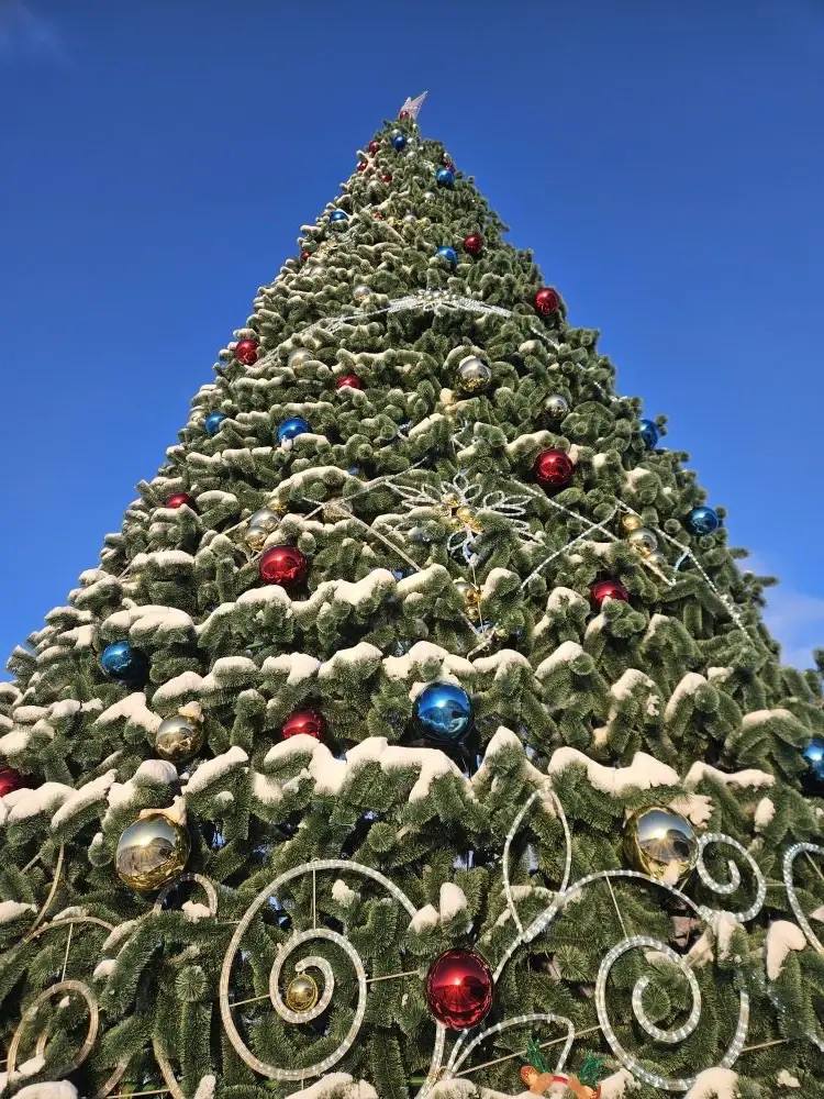 В центре краевой столице для жителей и гостей Камчатки проходят новогодние мероприятия: детские игровые, концертные программы и вечерние молодежные