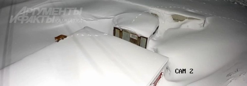 ����� �������� �������� �� ������ ������� � ����������� �� 8 ��, ����� ���������